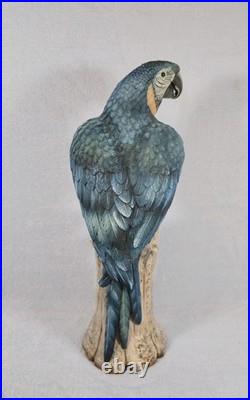 Rare! Cacciapuoti Signed Italian Parrot Sculpture Limited Edition 9/500 17.25