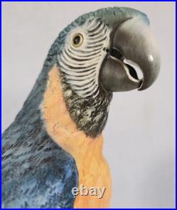 Rare! Cacciapuoti Signed Italian Parrot Sculpture Limited Edition 9/500 17.25