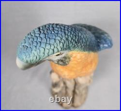 Rare! Cacciapuoti Signed Italian Parrot Sculpture Limited Edition 9/500 17.25