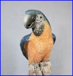 Rare! Cacciapuoti Signed Italian Parrot Sculpture Limited Edition 9/500 17.25