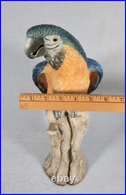 Rare! Cacciapuoti Signed Italian Parrot Sculpture Limited Edition 9/500 17.25