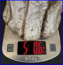 Rare! Cacciapuoti Signed Italian Parrot Sculpture Limited Edition 9/500 17.25