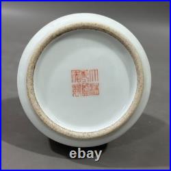 Rare Chinese Collectable Art Foul red Porcelain Bird Zun Vase