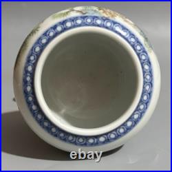Rare Chinese Handmade Painting Famille Rose Porcelain Bird Wash
