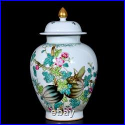 Rare Collectable Art Chinese Hand Painting Famille Rose Porcelain Bird Vase