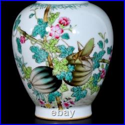 Rare Collectable Art Chinese Hand Painting Famille Rose Porcelain Bird Vase