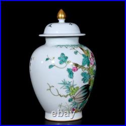 Rare Collectable Art Chinese Hand Painting Famille Rose Porcelain Bird Vase