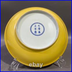 Rare Collectable Art Handmade Painting Famille Rose Porcelain Bird PlateAA