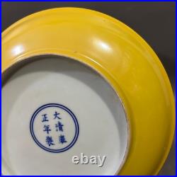 Rare Collectable Art Handmade Painting Famille Rose Porcelain Bird PlateAA