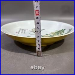Rare Collectable Art Handmade Painting Famille Rose Porcelain Bird PlateAA