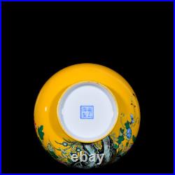 Rare Collectable Art Handmade Painting Famille Rose Porcelain Bird Shang Vase