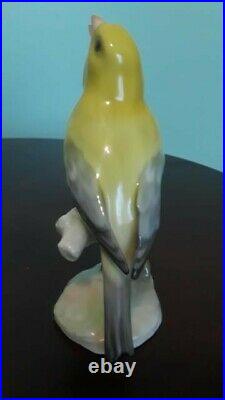 Rare Hutschenreuther Sculptured Canary Bird Porcelain Figurine