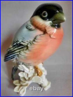 Rare Karl Ens Germany Antique Porcelain Statue Figurine Bird Bullfinch Marked