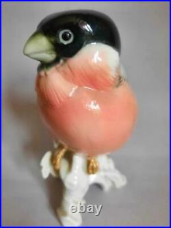 Rare Karl Ens Germany Antique Porcelain Statue Figurine Bird Bullfinch Marked