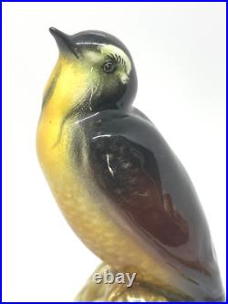 Rare Richard Ginori Yellow Breasted Bird on Nest Figurine 6.25 Italy EUC