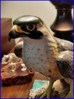 Realistic Ocean Eagle Gem Of The Seas! Marvelous Color And Condition