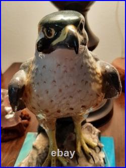 Realistic Ocean Eagle Gem Of The Seas! Marvelous Color And Condition