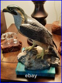 Realistic Ocean Eagle Gem Of The Seas! Marvelous Color And Condition