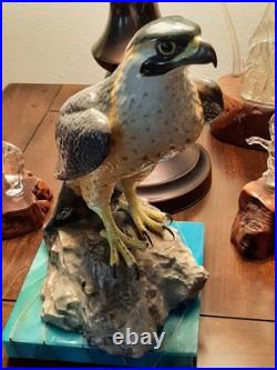 Realistic Ocean Eagle Gem Of The Seas! Marvelous Color And Condition Realistic Ocean Eagle Gem Of The Seas! Marvelous Color And Condition