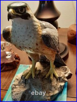 Realistic Ocean Eagle Gem Of The Seas! Marvelous Color And Condition