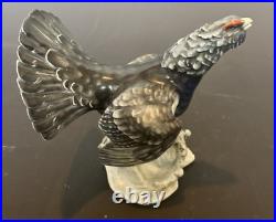 Rosenthal Porcelain Bird Figurine Pheasant