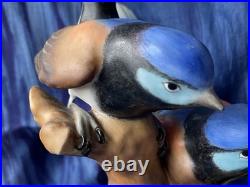 Royal Crown Derby Fairy Wren figurine, bone china, 1969, birds, flowers