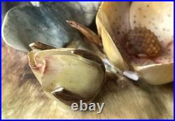 Royal Crown Derby Fairy Wren figurine, bone china, 1969, birds, flowers