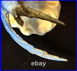 Royal Crown Staffoshire Blue Bird Swallows Porcelain Bird Figure One Damaged