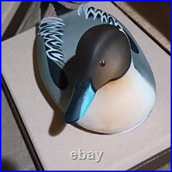 Royal Doulton Lenn Ward Pintail Duck Bird Porcelain Figurine Collectible
