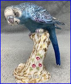 Royal Worcester Blue Budgerigar Budgee Parakeet 2664 Rare Figurine