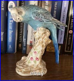 Royal Worcester Blue Budgerigar Budgee Parakeet 2664 Rare Figurine