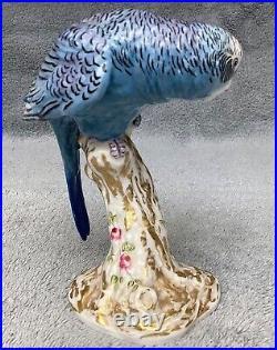 Royal Worcester Blue Budgerigar Budgee Parakeet 2664 Rare Figurine