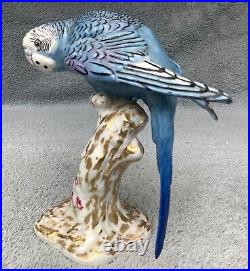 Royal Worcester Blue Budgerigar Budgee Parakeet 2664 Rare Figurine