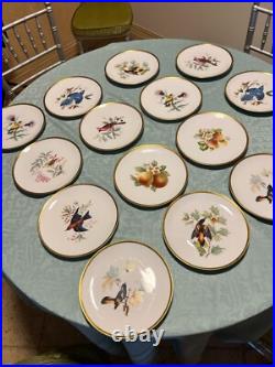 Set of 14 Gilded 8 Hutschenreuther Gelb John James Audubon Bird Plates Passco