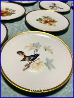 Set of 14 Gilded 8 Hutschenreuther Gelb John James Audubon Bird Plates Passco