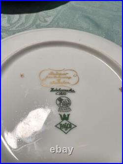 Set of 14 Gilded 8 Hutschenreuther Gelb John James Audubon Bird Plates Passco