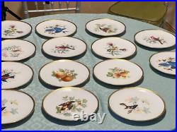 Set of 14 Gilded 8 Hutschenreuther Gelb John James Audubon Bird Plates Passco