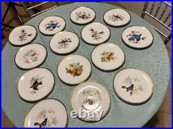 Set of 14 Gilded 8 Hutschenreuther Gelb John James Audubon Bird Plates Passco