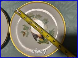 Set of 14 Gilded 8 Hutschenreuther Gelb John James Audubon Bird Plates Passco