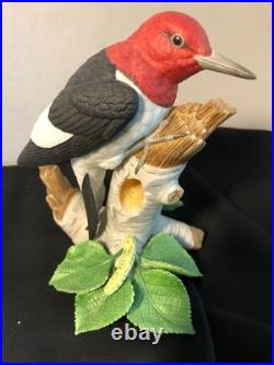 Set of 6 Lenox Porcelain Bird Figurines from the Garden Birds Collection
