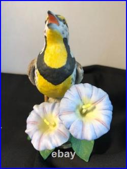 Set of 6 Lenox Porcelain Bird Figurines from the Garden Birds Collection