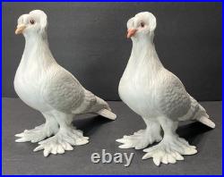 Set of Boehm 8½ Tall Porcelain Tumbler Pigeons Birds 416