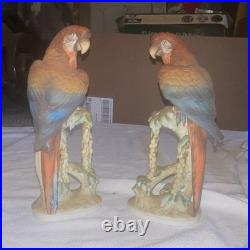 Shorter & Son Macaw Parrot Figurines Pair Hand Painted Ceramic England KW1055A/B