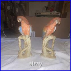 Shorter & Son Macaw Parrot Figurines Pair Hand Painted Ceramic England KW1055A/B