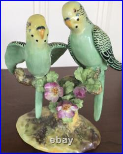 Staffordshire Parakeets