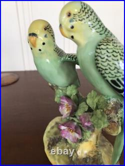 Staffordshire Parakeets