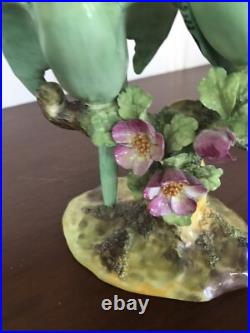 Staffordshire Parakeets