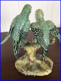 Staffordshire Parakeets