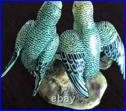 Staffordshire Parakeets