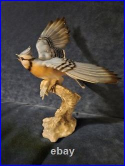 Stunning Hutschenreuther Blue Jay Bird Figurine. VGC, Audubon. 10x7